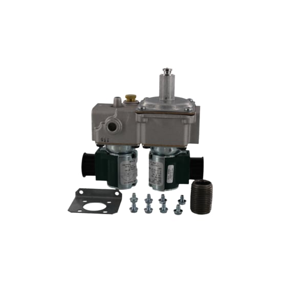 VALVE GAS NG PKG